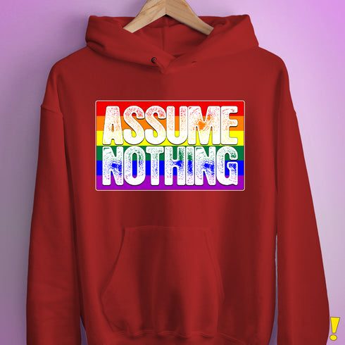 Assume Nothing LGBTQ Pride Flag Hoodie - Red
